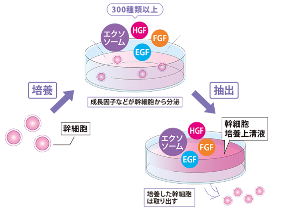 品川美容外科　エクソソーム点滴　大阪　製剤