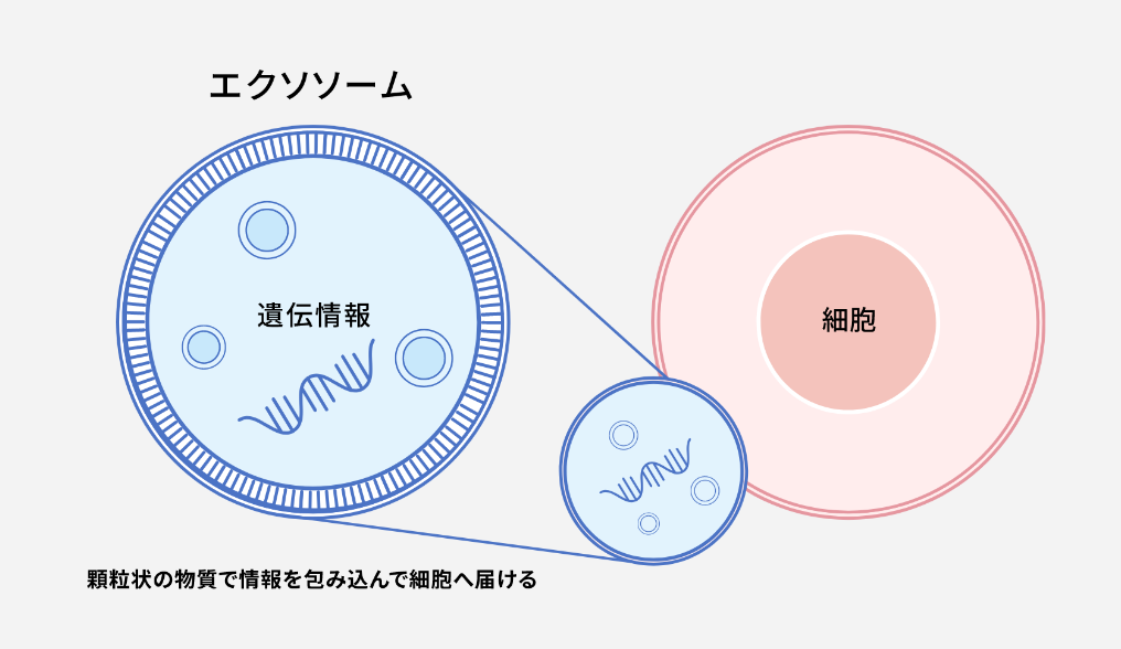 ゴリラクリニック