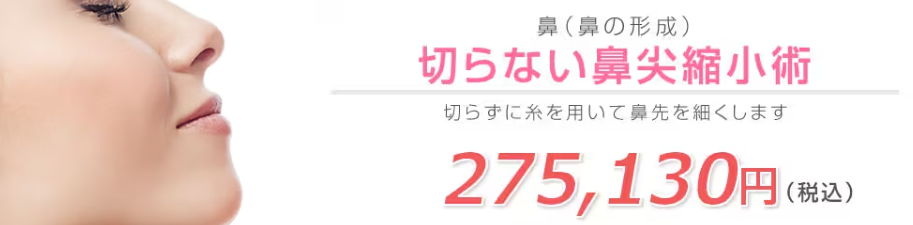 湘南美容クリニック切らない鼻尖縮小術