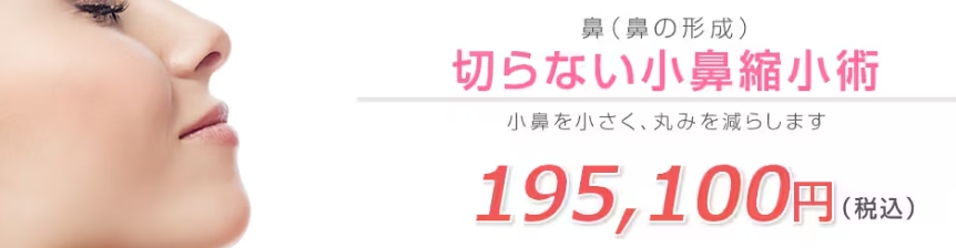 湘南美容クリニック切らない小鼻縮小術