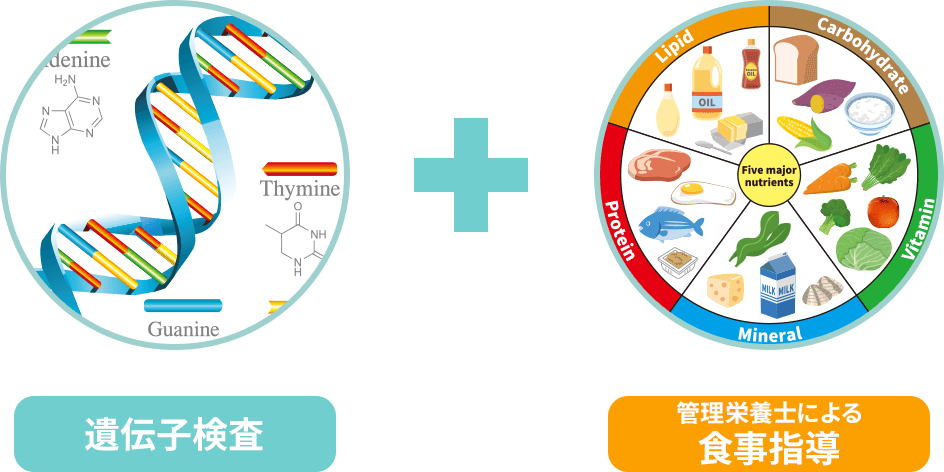 遺伝子検査+管理栄養士による食事指導