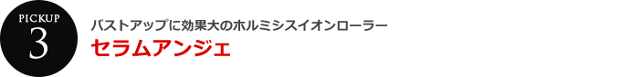 バストアップに効果大のホルミシスイオンローラー　
セラムアンジェ