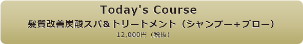 髪質改善炭酸スパ＆トリートメント（シャンプー＋ブロー）
12,000円（税抜）