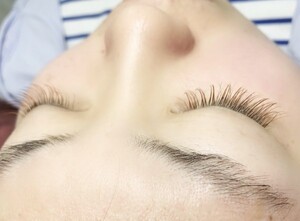 ブラウンカラー 222 ｆａｖｏｒｉ Eyelashsalon 溝ノ口店 ファヴォリアイラッシュサロンミゾノクチテン 神奈川県 溝の口 の マツエク まつげパーマカタログ ビューティーパーク