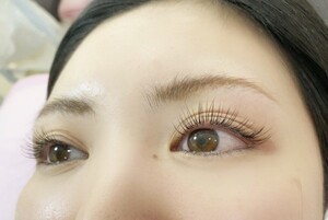 パリジェンヌラッシュリフト フラットマットラッシュ80本 225 ｆａｖｏｒｉ Eyelashsalon 溝ノ口店 ファヴォリアイラッシュ サロンミゾノクチテン 神奈川県 溝の口 のマツエク まつげパーマカタログ ビューティーパーク