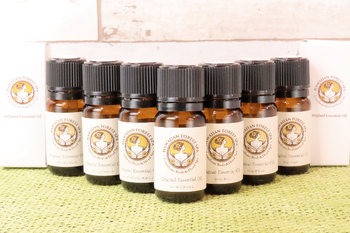 ハワイアンフォレストSpa名古屋黒川店~ロミロミボディ&ヘッドスパ~ | 大曽根/黒川のエステサロン ハワイアンフォレストSpa名古屋黒川店~ロミロミボディ&ヘッドスパ~ | 大曽根/黒川のエステサロン