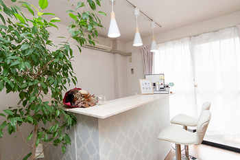 フェイシァル&ボディサロン lino | 四日市のエステサロン フェイシァル&ボディサロン lino | 四日市のエステサロン