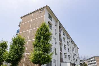 漢方オイル 木のき | 八千代のリラクゼーション 漢方オイル 木のき | 八千代のリラクゼーション