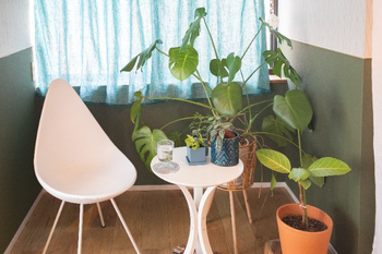 salon de tete | 岡崎のリラクゼーション salon de tete | 岡崎のリラクゼーション