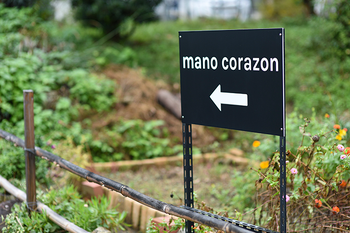 mano corazon | 敦賀のエステサロン mano corazon | 敦賀のエステサロン