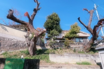 Starry・Garden | 生駒のリラクゼーション Starry・Garden | 生駒のリラクゼーション