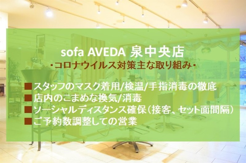 Sofa Aveda 泉中央店 ソファーアヴェダイズミチュウオウテン 宮城県