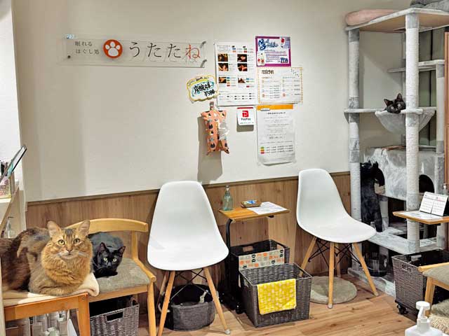 眠れるほぐし処うたたね 神楽坂本店 | 飯田橋のリラクゼーション 眠れるほぐし処うたたね 神楽坂本店 | 飯田橋のリラクゼーション