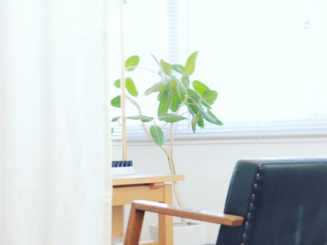 hair&headtherapy Link | 銀座のリラクゼーション hair&headtherapy Link | 銀座のリラクゼーション