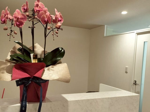 ADELL BELLE | 新宿のリラクゼーション ADELL BELLE | 新宿のリラクゼーション