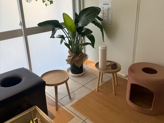 MIFEEL | 表参道のリラクゼーション MIFEEL | 表参道のリラクゼーション