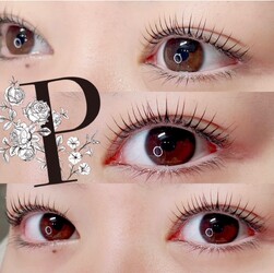 Lille 【パリジェンヌ/まつ毛パーマ/マツエク/眉毛】 | 新宿のアイラッシュ Lille 【パリジェンヌ/まつ毛パーマ/マツエク/眉毛】 | 新宿のアイラッシュ