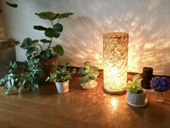 ゆるみサロン象の手 | 川越のリラクゼーション ゆるみサロン象の手 | 川越のリラクゼーション