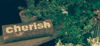 cherish | 与野のヘアサロン cherish | 与野のヘアサロン