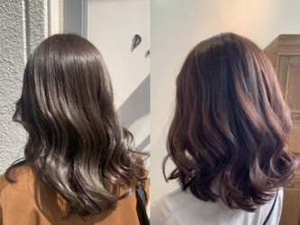 hair and spa palm 東大宮店 | 大宮のヘアサロン hair and spa palm 東大宮店 | 大宮のヘアサロン
