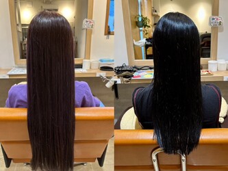 hair and spa palm | 与野のヘアサロン hair and spa palm | 与野のヘアサロン