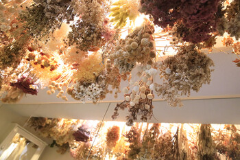 hana to kimi | 中目黒のヘアサロン hana to kimi | 中目黒のヘアサロン