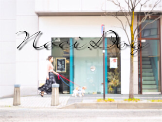 Noci | 松本のヘアサロン Noci | 松本のヘアサロン