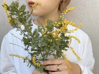 Euphoria 青山【ユーフォリア アオヤマ】 | 表参道のヘアサロン Euphoria 青山【ユーフォリア アオヤマ】 | 表参道のヘアサロン