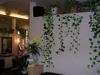 Hair&Make CHARMANT | 長野のヘアサロン Hair&Make CHARMANT | 長野のヘアサロン