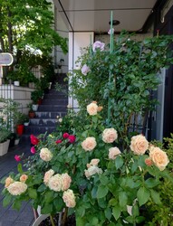 La・beau | 福井のヘアサロン La・beau | 福井のヘアサロン