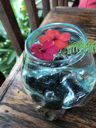 神楽坂のほぐし堂 | 新宿のリラクゼーション 神楽坂のほぐし堂 | 新宿のリラクゼーション