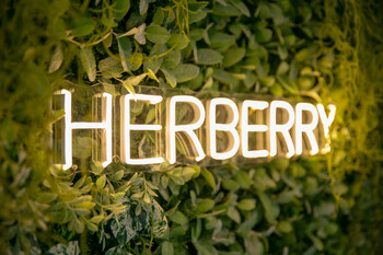 ハーブピーリング専門店 HERBERRY | 名駅のエステサロン ハーブピーリング専門店 HERBERRY | 名駅のエステサロン