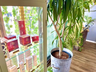 ハーブピーリング専門店HERBERRY栄 | 栄/矢場町のエステサロン ハーブピーリング専門店HERBERRY栄 | 栄/矢場町のエステサロン