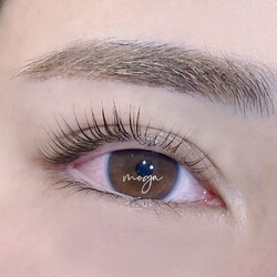 Moga | 元町のアイラッシュ Moga | 元町のアイラッシュ