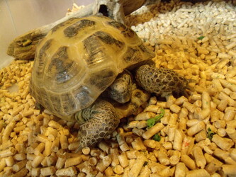 美容室allure | 伊勢崎のヘアサロン 美容室allure | 伊勢崎のヘアサロン