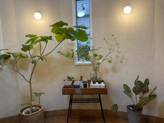 stellaBOUTIQUE | 中目黒のヘアサロン stellaBOUTIQUE | 中目黒のヘアサロン