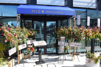 ペッツプロフェッショナル | 藤枝のヘアサロン ペッツプロフェッショナル | 藤枝のヘアサロン