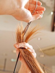 Sage | 岡崎のヘアサロン Sage | 岡崎のヘアサロン
