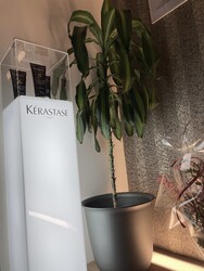 ARTE DESIGN LABO | 小樽のヘアサロン ARTE DESIGN LABO | 小樽のヘアサロン