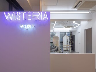 WISTERIA PLUS1 銀座一丁目【ウィステリア プラスワン】 | 銀座のヘアサロン WISTERIA PLUS1 銀座一丁目【ウィステリア プラスワン】 | 銀座のヘアサロン