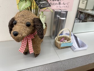 美容室Will | 大森のヘアサロン 美容室Will | 大森のヘアサロン