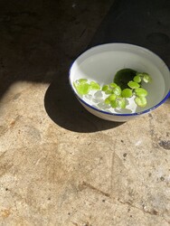 tefu | 赤羽のヘアサロン tefu | 赤羽のヘアサロン