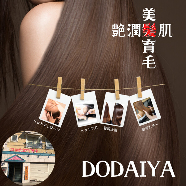 DODAIYA | 三鷹のヘアサロン