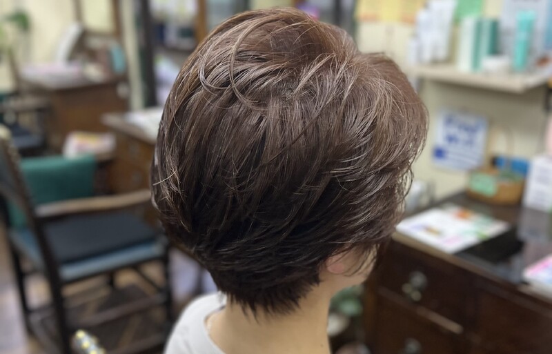 髪工房てんとう虫 | 用賀のヘアサロン