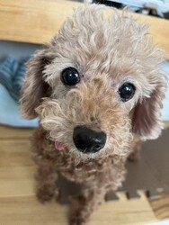 のいん/札幌腸活 | 厚別区/清田区周辺のリラクゼーション のいん/札幌腸活 | 厚別区/清田区周辺のリラクゼーション