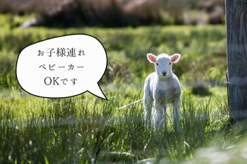 hair and eyelash nuit... | 高知のアイラッシュ hair and eyelash nuit... | 高知のアイラッシュ