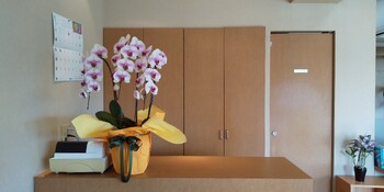 美容室わたぼうし | 立川のヘアサロン 美容室わたぼうし | 立川のヘアサロン