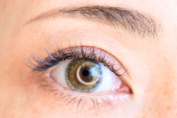 サロンSK81 | 亀戸のアイラッシュ サロンSK81 | 亀戸のアイラッシュ