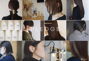 pledge | 横川/十日市/舟入/西広島のヘアサロン