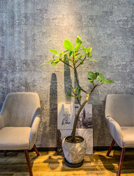 Roid Brothers | 大阪挟山のヘアサロン Roid Brothers | 大阪挟山のヘアサロン